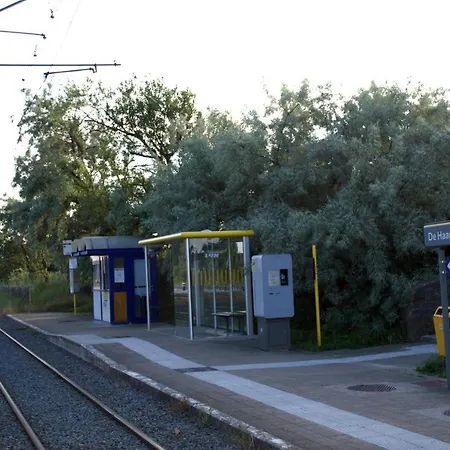 Sunny In Residential Park - * De Haan