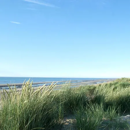 Sunny In Residential Park - *