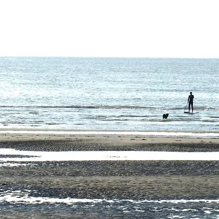 Sunny In Residential Park - Appartamento