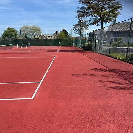 Sunny In Residential Park - Le Coq