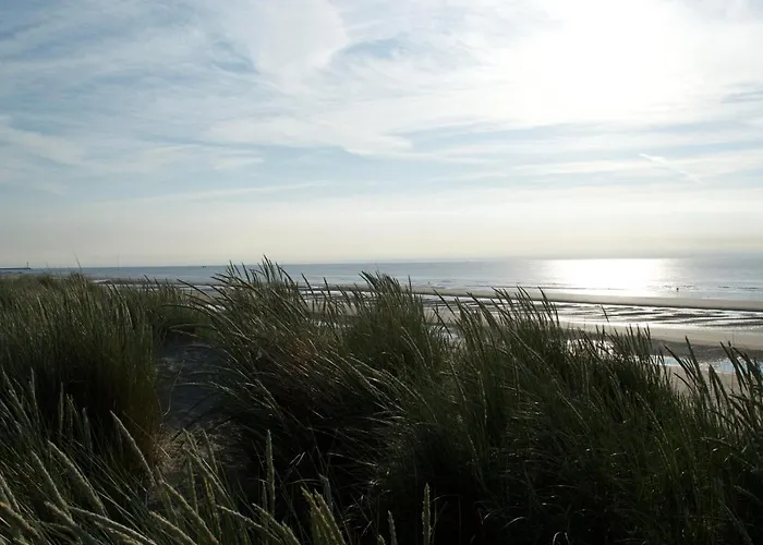 Sunny In Residential Park - 公寓 德哈恩