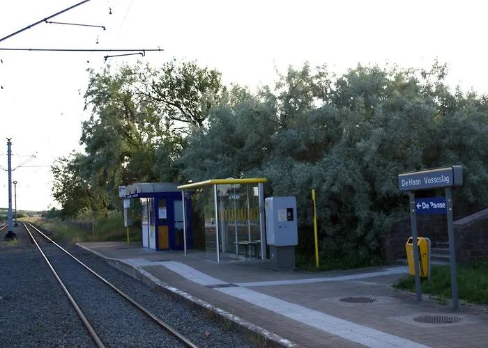 Sunny In Residential Park - * 德哈恩