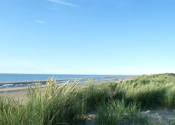 Sunny In Residential Park - *