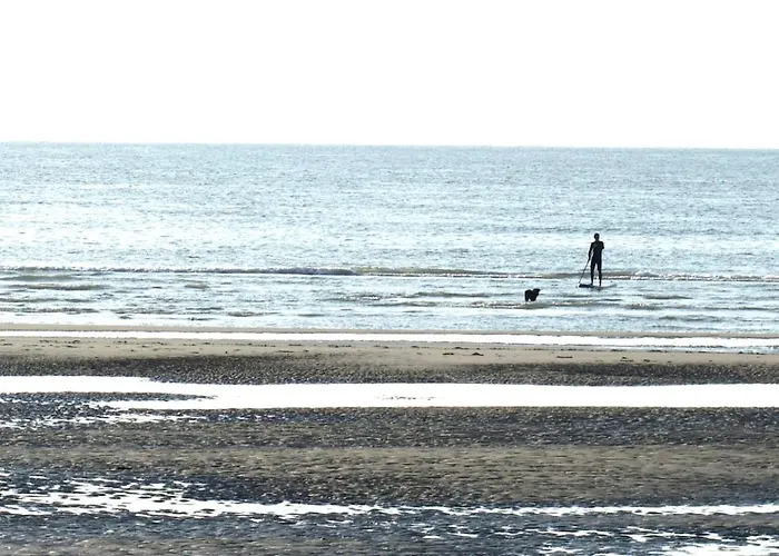 Sunny In Residential Park - 公寓